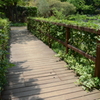 宝塚ガーデンフィールズ　English Garden.