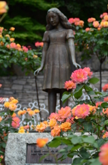 アンネのバラ（アンネのバラの教会） Rose of Anne Frank at 