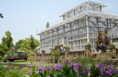 宝塚ガーデンフィールズ　English Garden.