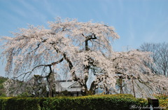 日本の美しい原風景　Beautiful scenery of Japan