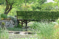 宝塚ガーデンフィールズ　English Garden.