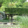 宝塚ガーデンフィールズ　English Garden.