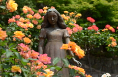 アンネのバラ（アンネのバラの教会） Rose of Anne Frank at 