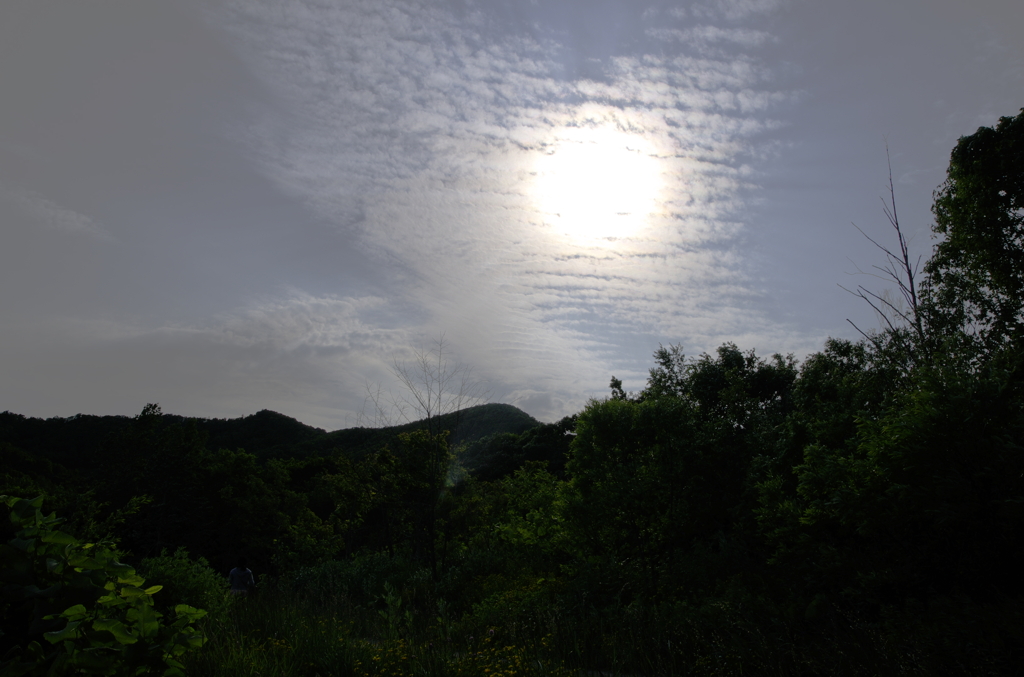 五天山の午後景
