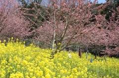 IMG_3970_R