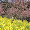 IMG_3970_R
