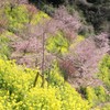 IMG_3965_R