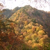IMG_2668_R