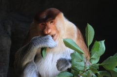 役者