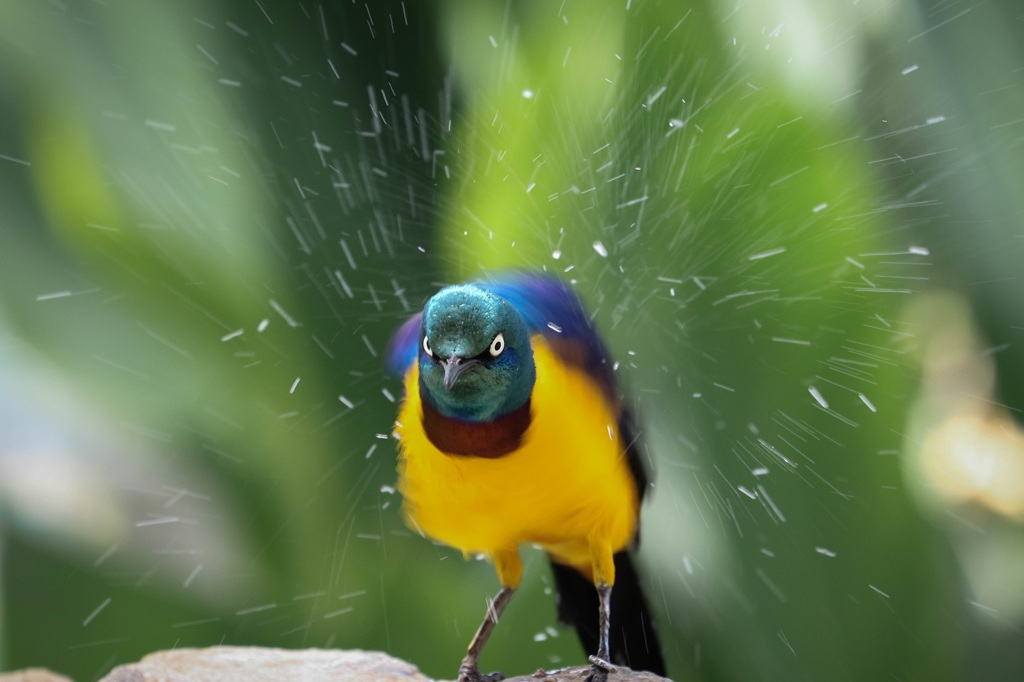 風呂あがり