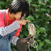 掛川のポポちゃん