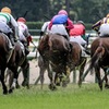 中京競馬2