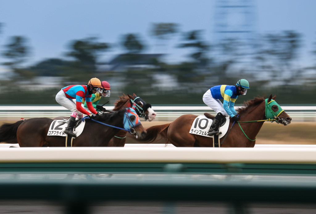 冬競馬