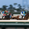 冬競馬