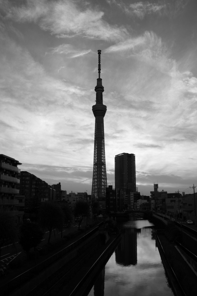 IMG_0793