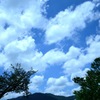reDSC_0919