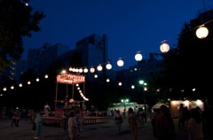 reDSC_1410