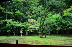 静
