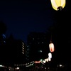 reDSC_1435