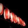 reDSC_1437