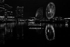 A Night on The Bay