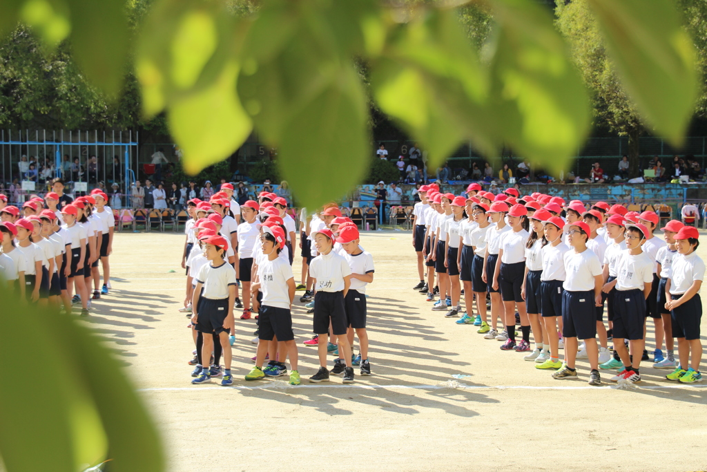 平日の運動会