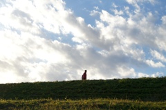 アナザースカイ