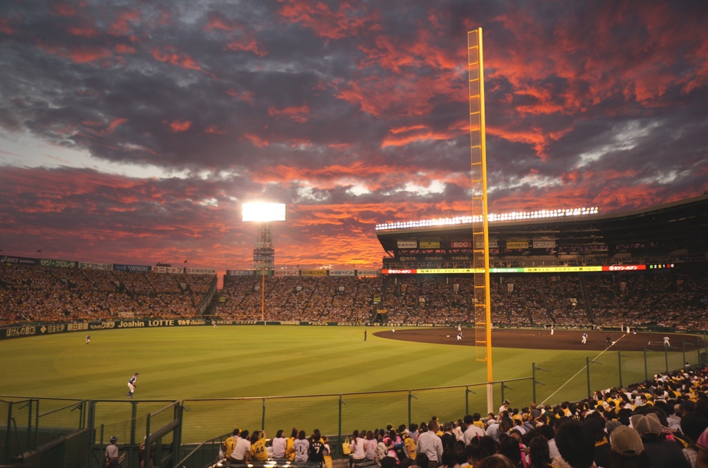 甲子園の夕景