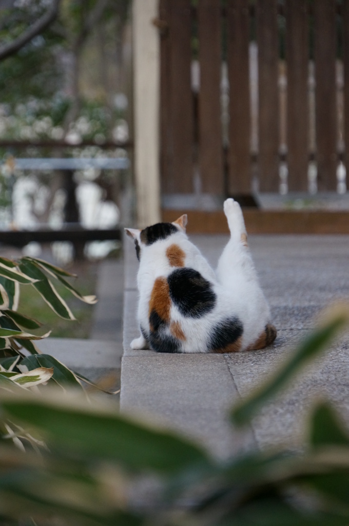 YOGAの時間