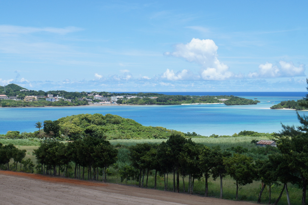 米原海岸を丘から眺める