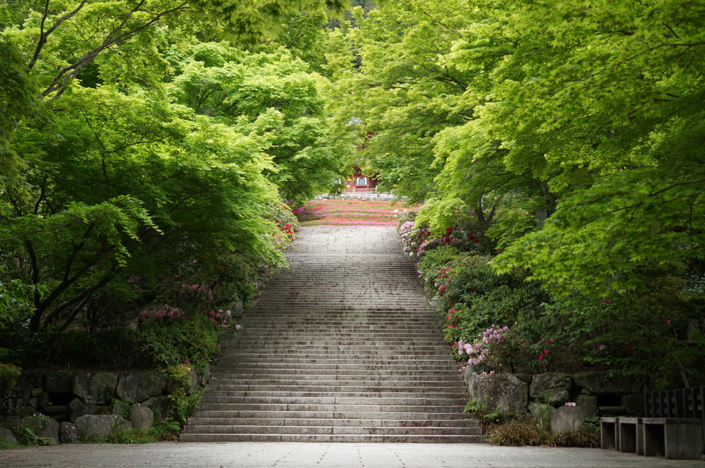 勝尾寺＃1
