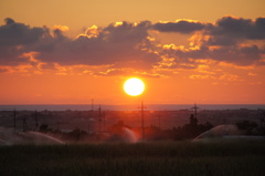サトウキビ畑から見た夕陽
