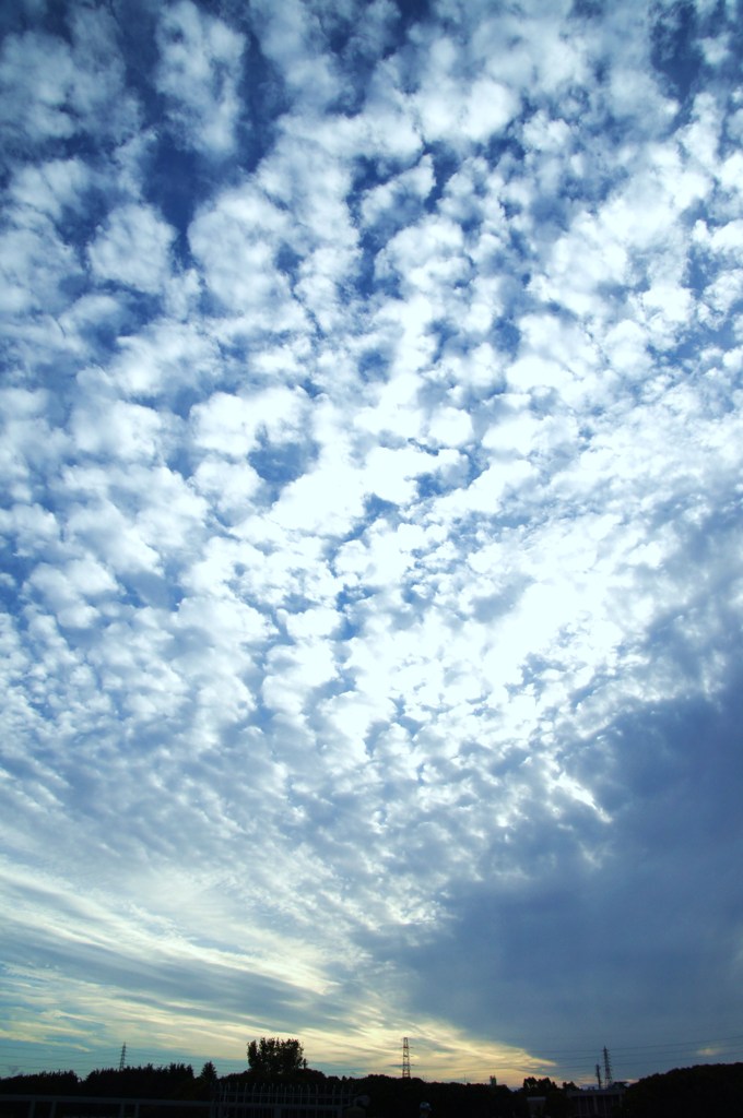 空港の空