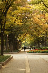 大阪・靭公園の昼下がり