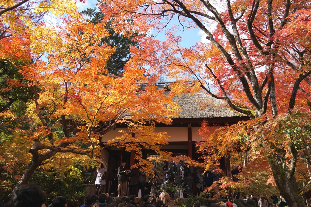 常寂光寺＃1