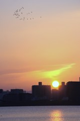 日曜日の始まり