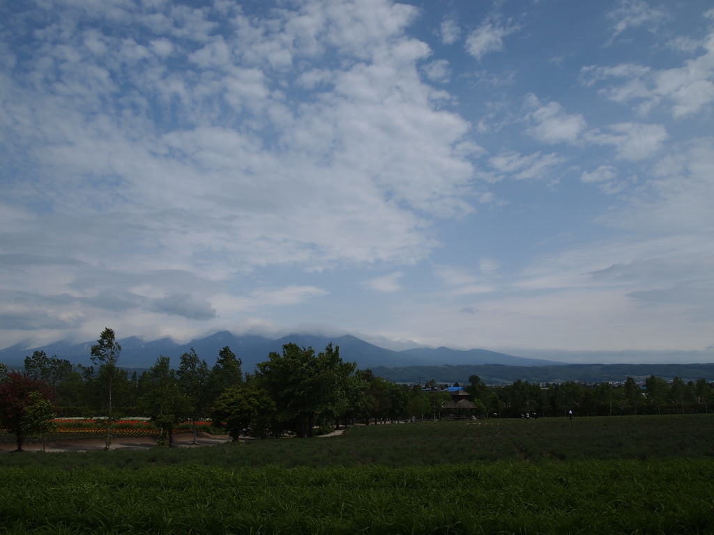 雲