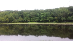 第五湖(20130811)