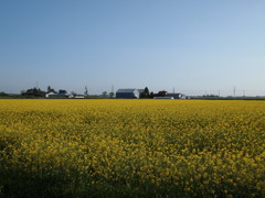 癒し効果、大