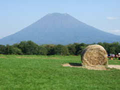 ニセコからの羊蹄山