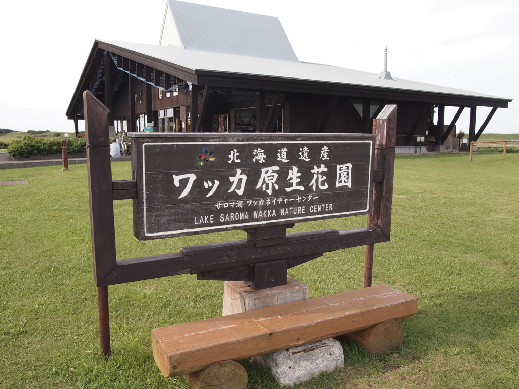 ワッカ原生花園