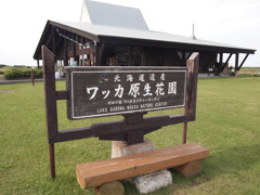 ワッカ原生花園