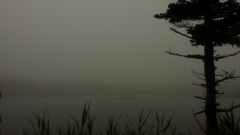第一湖(20130811)