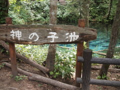 神の子池