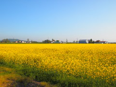 ポップアート効果