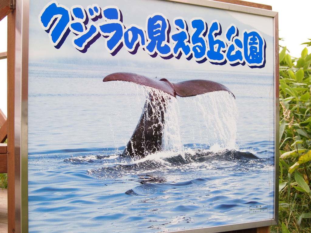 見えなかったけどねｗ