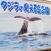 見えなかったけどねｗ