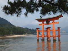 ザ鳥居！