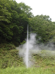 運良く１５分くらいで見れました
