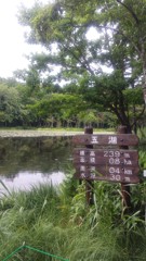 知床五湖・第五湖(20130811)
